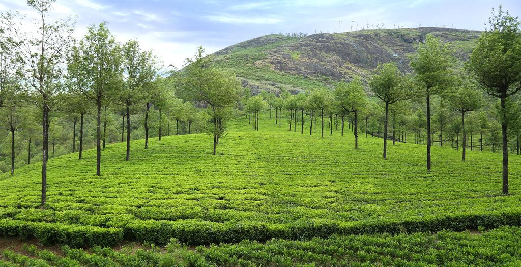 Отель Elysium Garden Муннар Экстерьер фото
